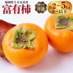 柿 富有柿 9玉~11玉 西見柿農園