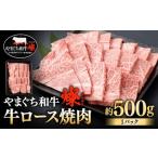 博多和牛 特上ロース 約500g