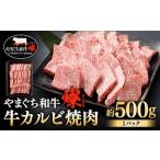 博多和牛 特上カルビ 約500g