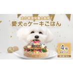 犬用鶏ミンチ&豚モモ 4号 ジビエ ペットフード