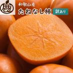たねなし柿 約1kg