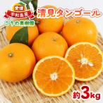 清見タンゴール 3kg