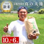 定期便 令和8年産 京都丹波産 コシヒカリ 10kg