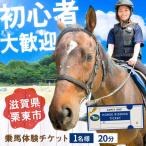乗馬体験チケット1名様分 20分 初心者