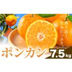 ポンカン 7.5kg