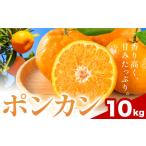 ポンカン 約10kg