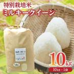 ミルキークイーン精米 10kg