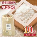 米 10kg
