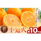 不知火 訳あり 10kg