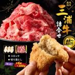三浦牛切り落とし 三浦牛コロッケ 詰め合わせセット