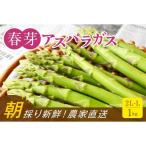 春芽アスパラガス 1kg