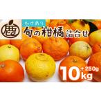 ふるさと納税 ＜1月より発送＞家庭用 柑橘詰合せ10kg＋250g（傷み補償分）（傷み補償分）【訳あり・わけあり】【有田の春みかん詰め合わせ・フ.. 和歌山県美浜町