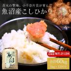 魚沼産コシヒカリ 5kg×12回毎月お届け