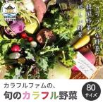 三陸山田産 カラフル 野菜 80サイズ ニンジン