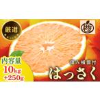 はっさく10kg+250g