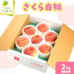 fu.... налог ..( Sakura белый персик ) 2kg фрукты фрукты Yamagata Yamagata префектура небо . город 