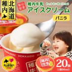 稚内牛乳 アイスクリーム バニラ 20個セット 各90ml