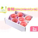 ふるさと納税 やわらか桃 ＆ かたい桃 セット ( 白桃 ) 2kg フルーツ 果物 山形 08-03-013 山形県天童市