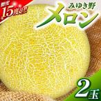みゆき野メロン2玉 メロン みゆき野メロン
