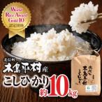 木島平産こしひかり 約10kg