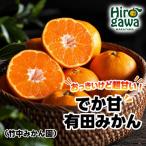 有田みかん 7kg