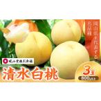 清水白桃 3玉