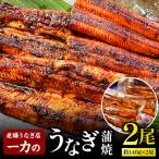 うなぎ 蒲焼
