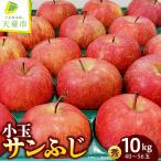 小玉 サンふじ 約 10kg