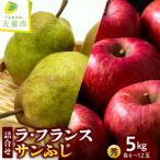 ラ フランス サンふじ 約 5kg セット