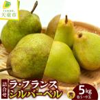 洋梨 ラフランス シルバーベル 詰合せ 約 5kg