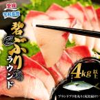 鰤 ぶり ブリ 碧ぶり 活締め ラウンド 4kg