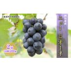 ぶどう 2026年 ニュー ピオーネ 2房