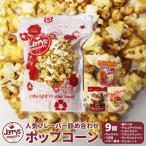 ジェリーズ ポップコーン フレーバー 9個