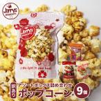 ジェリーズ ポップコーン アソートボックス 9個