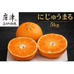 ふるさと納税 『先行予約』【令和8年3月上旬より順次発送】◎にじゅうまる◎ 5kg 佐賀県産【高級柑橘みかん】果物フルーツ 柑橘 佐賀県唐津市