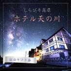 しらびそ高原 ホテル 天の川 宿泊 券