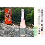 日本酒 純米吟醸 歸宴 かえるのうたげ ※スパークリング 500…