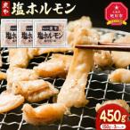 豚肉 ホルモン 民が絶賛する 炭や 塩ホルモン