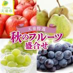 天童 特選 秋のフルーツ 盛合せ 果物 山形