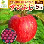 りんご サンふじ 5kg