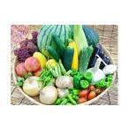 野菜と果物セット 新鮮とれたて旬の野菜&季節のフルーツ