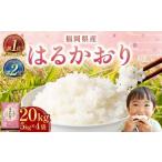 ふるさと納税 【令和7年産】はるかおり 精米 20kg  香春町 ／ ふるさと納税限定 ふるさと納税限定品 お米 米 白米 食品 ご飯 飯 九州 福岡県 香.. 福岡県香春町