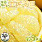 土佐文旦 3kg
