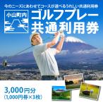 1000円券×3枚 ゴルフ場利用