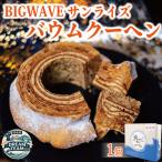 波乗りバウム BIGWAVE サンライズ1個