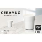 真空断熱タンブラー 300ml