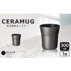 真空断熱タンブラー 300ml