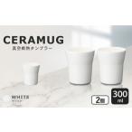 真空断熱タンブラー 300ml ペアセット