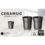 真空断熱タンブラー 300ml ペアセット