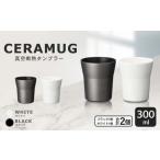 真空断熱タンブラー 300ml